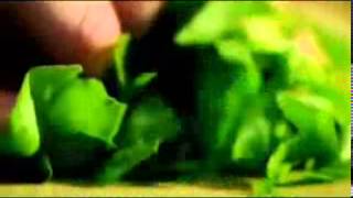 Gordon Ramsay   Seabass with sorrel sauce   YouTube