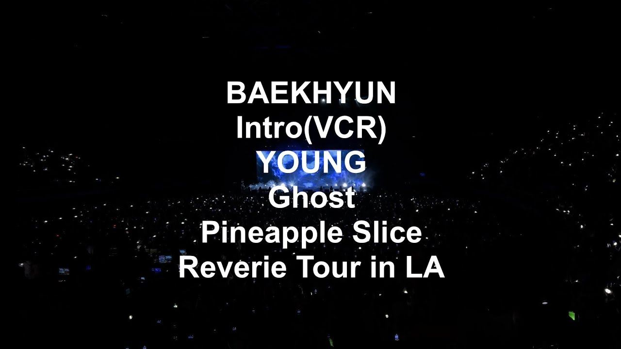 250706 BAEKHYUN - Intro(VCR)+YOUNG+Ghost+Pineapple Slice | 2025 BAEKHYUN WORLD TOUR [Reverie] in LA
