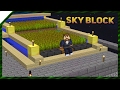 Классическая ферма пшеницы 🍞 | SkyBlock 04