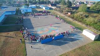 Pine Hill School   Halloween 2017