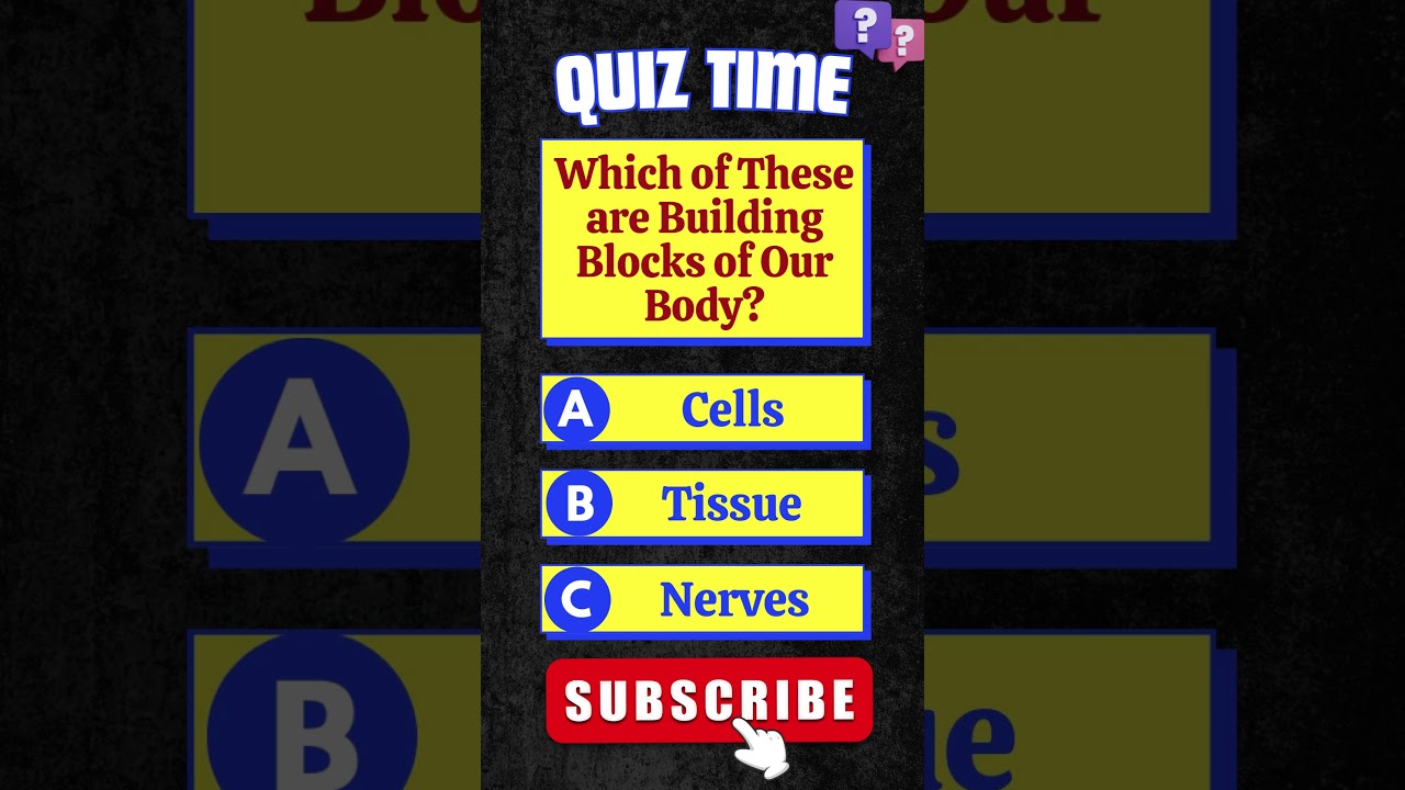 Which of These are Building Blocks of Our Body? 