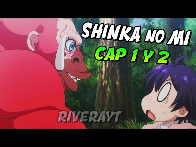 Shinka No Mi Capitulo 7 Temporada 5 Español Latino