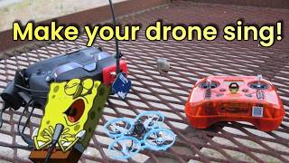 How to add custom start up tunes to any FPV drone