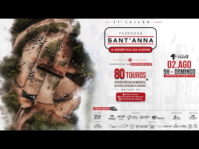 LOTE 11   CJCJ 16385