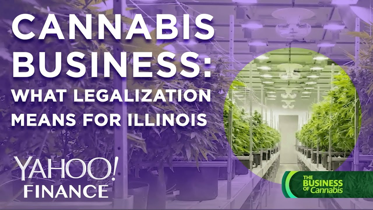 Cannabis business What marijuana legalization means for Illinois YouTube