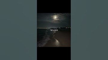 سورة الأنبياء الآية ٦٩-٧٠ - القارئ محمد ديبيروف