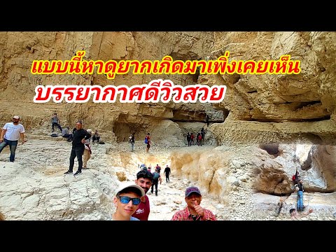 แบบนี้หาดูยากเกิดมาเพิ่งเคยเห็ ของดีในต่างแดนเอามาฝากคนไทยที่ฟาร์มไก่