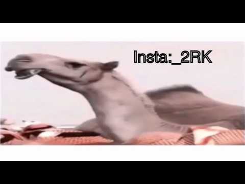 فردي جلاده ادا حمد الطويل