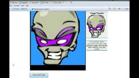 Tutorial: Use your custom avatar on other blogs
