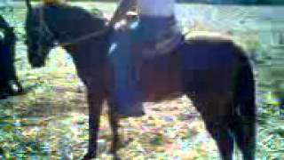 mi primo hermano peleando con su caballo