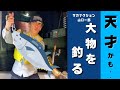 【天才...】生配信で大物を釣り上げるサカナクション山口一郎"ナイトフィッシングイズグッド" 【公認】山口一郎切り抜きch