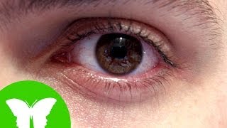 La Eduteca - Los sentidos: la vista