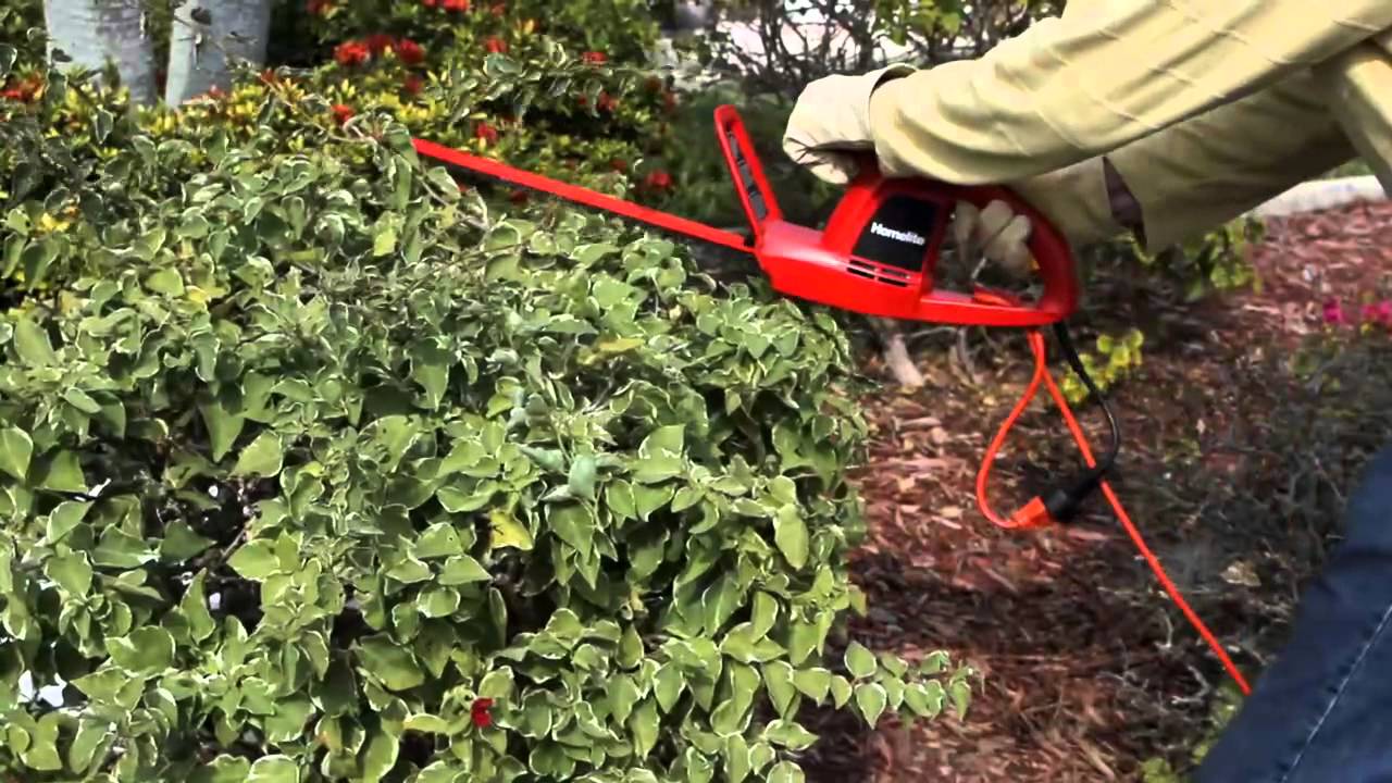 homelite 17 inch electric hedge trimmer