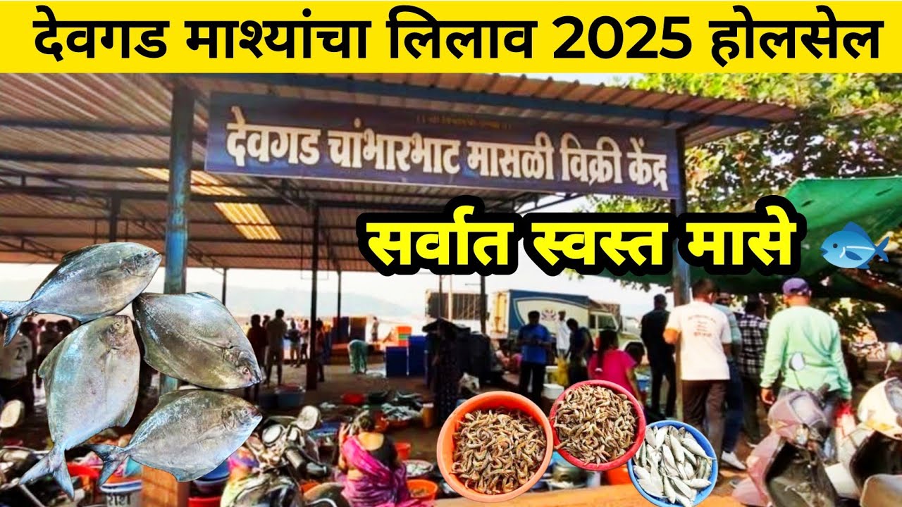 DEVGAD FISH AUCTION 2025 |  देवगड माश्यांचा लिलाव 2025 होलसेल #devgad Devgad Beach