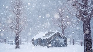 Camping in Heavy Snow | In a perfect air tent that feels like home, cozy camping | snow asmr