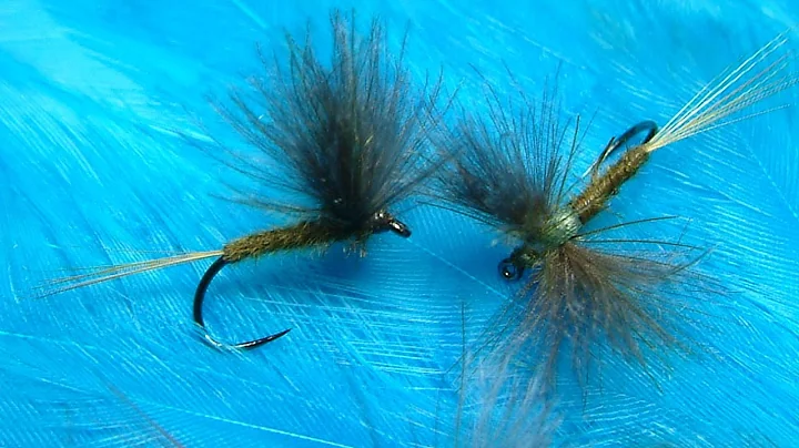 Tying an Olive CDC Dun (DryFly) with Davie McPhail.
