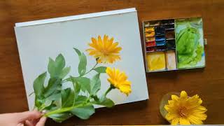 Oddly Satisfying flower drawing painting watercolor #art #tutorial #painting #watercolor #drawing