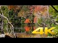 Autumn colors around Nikko - Tochigi -日光の紅葉 - 4K Ultra HD
