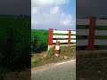 natural beauty # tending #nature #rural #Bangladesh #natural #thinking #views #viral #shorts