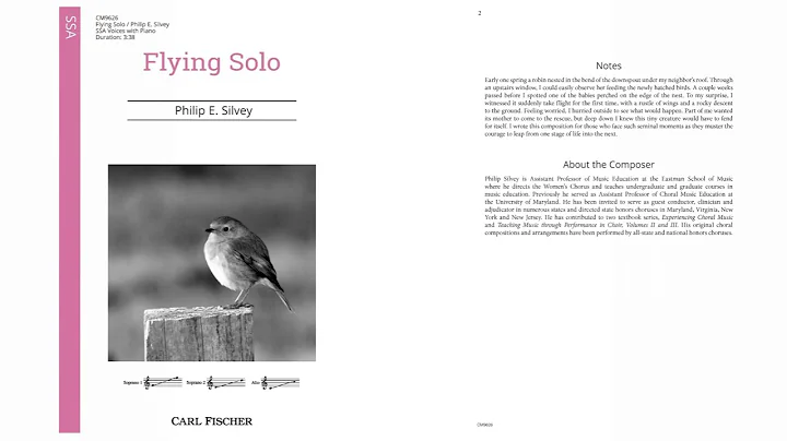 Flying Solo (CM9626) by Philip E. Silvey