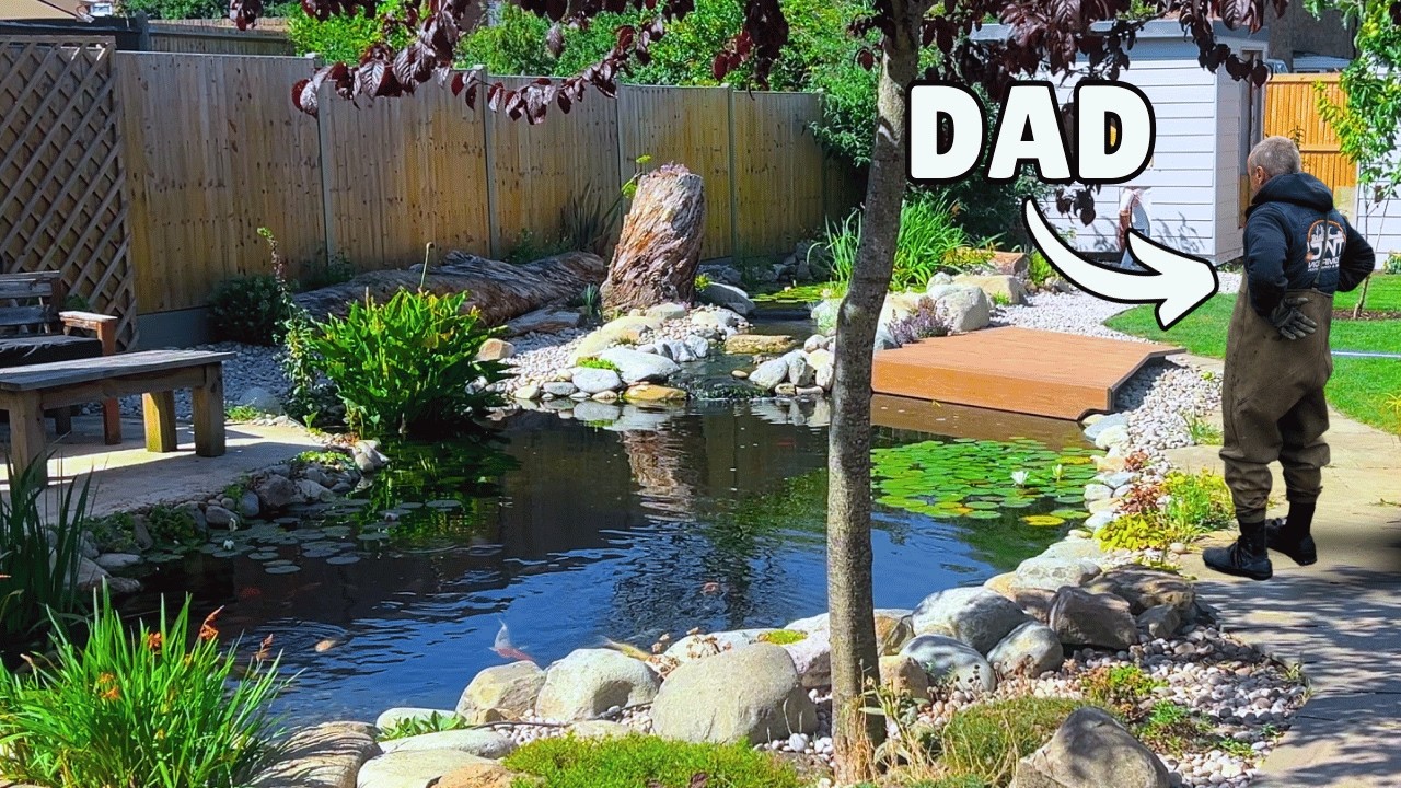 Восстановление пруда мечты моего отца к его пенсии