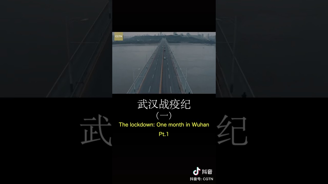 Download The Lockdown: One month in Wuhan. Pt. 1