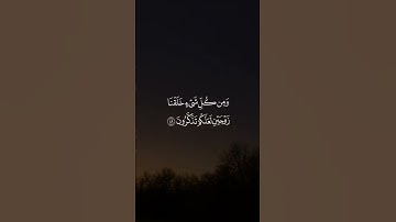 #بدر_التركي #ايات_قرانيه_قصيره #القرآن_الكريم #تلاوات #قرآن #تلاوة #القرآن #تلاوة_خاشعة #آيات #quran