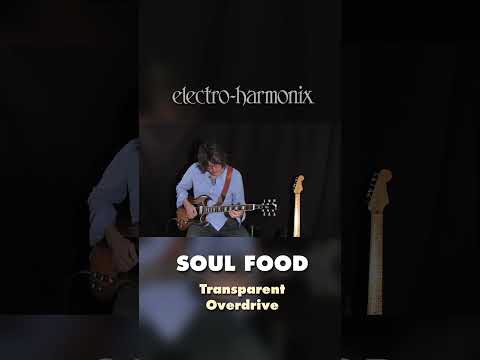 EHX Soul Food