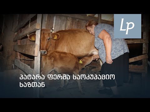 პატარა ფერმა საოკუპაციო ხაზთან