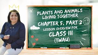 Class 3 EVS Chapter 5 (PART 2)Plants and Animals Live Together | All Concepts Explained in Hindi