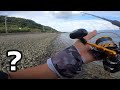 釣り場に来た天使。