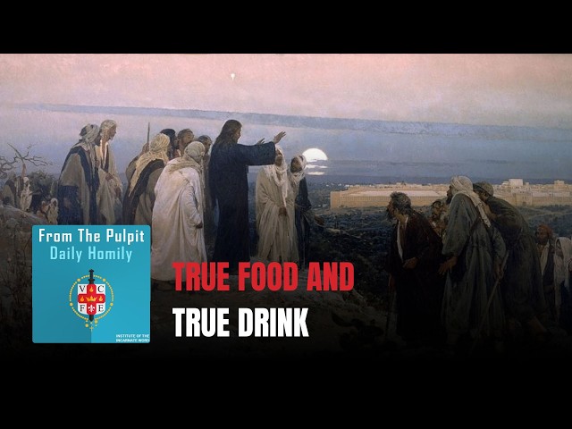 Daily IVE Homilies, April 24th, 2026 - True Food and True Drink