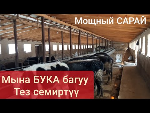 Video: Бильбаодон Бордого кантип барса болот