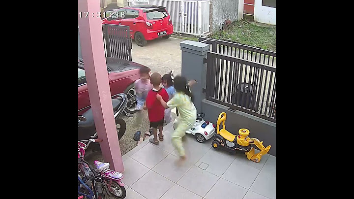di kejar anjing depan rumah