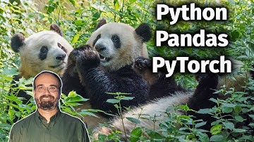 Introduction to Pandas for PyTorch Deep Learning (2.1)