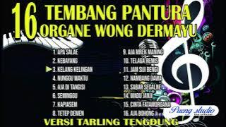 FULL ALBUM TEMBANG PANTURA || ORGANE WONG DERMAYU || VERSI TENGDUNG