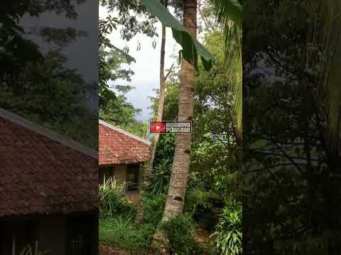 , Kondisi Terkini: Kampung Balekambang Dusun Suradita Pasca Bencana , Kondisi Terkini: Kampung Balekambang Dusun Suradita Pasca Bencana