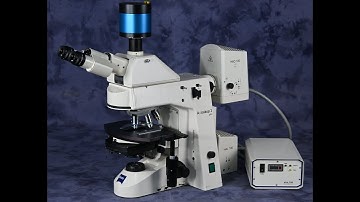 Zeiss Axioskop-2-Plus Manual Upright DIC Fluorescence Microscope