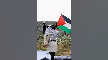 سورة النحل القارئ اسلام صبحي #القرآن_الكريم #القران #القران_الكريم#فلسطين#فلسطين_حره#قران#فلسطين