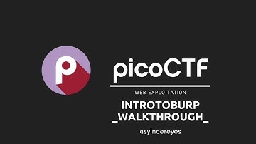 PICOCTF - introtoburp | Easy Web Exploitation Walkthrough 2024