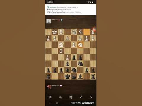 Шахматы защита Алехина