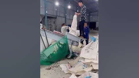 băng tải thổi rác cho ớt trái xạch