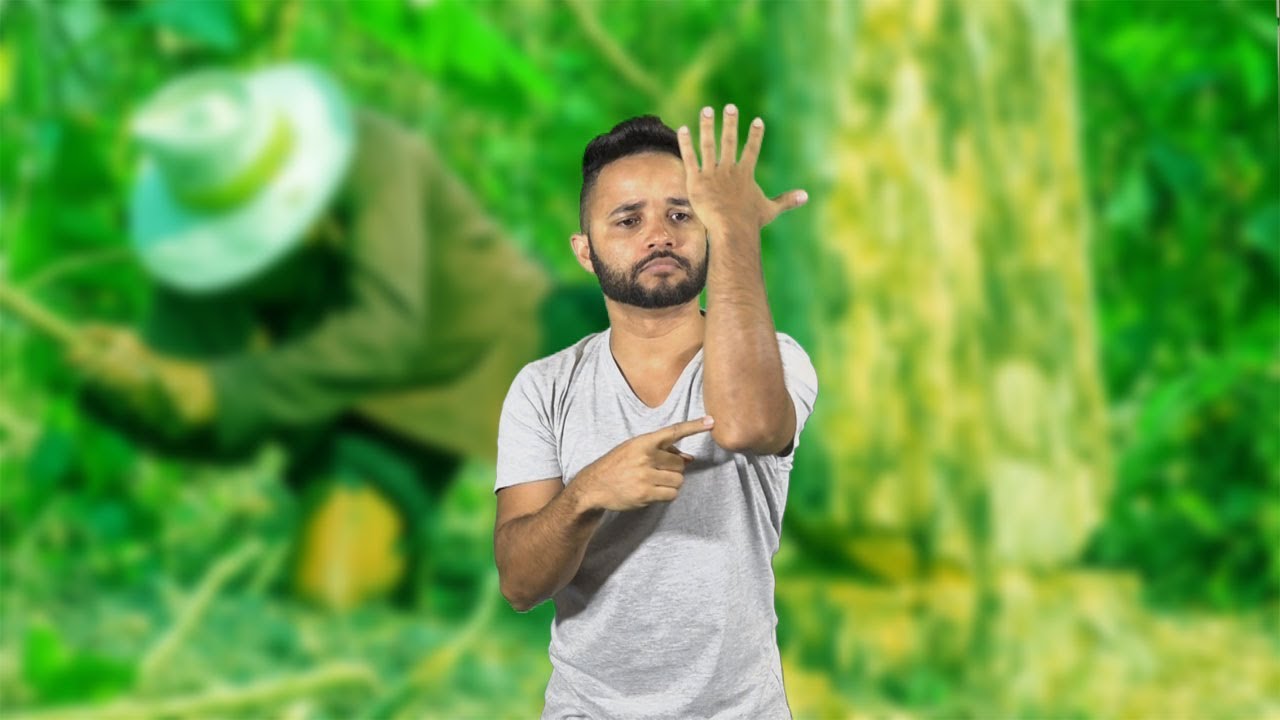 Piada em Libras - 01 - O Lenhador e a Árvore Surda