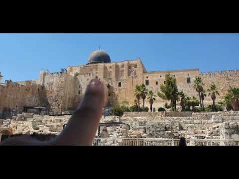 الباب المزدوج بواب المسجد الأقصى الجزء 17 الطريق للقصور الاموية مع المحامي بلال محفوظ