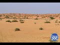 ¿Cómo es un día de caza en el Desierto de los Esqueletos? Te lo explicamos en este documental