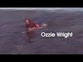 Let's Surf Seriously Hype Trailer - TransWorld SURF