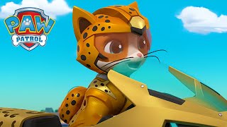 mao mi xiao zu he qiang zhuang xiao gou dui paw patrol wang