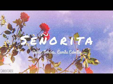 Senorita - Shawn Mendes, Camila Cabello [LYRICS]