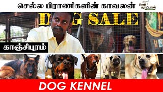 Dog Kennel | Puppy Sale | நாய் பண்ணை |Hostel | Dog Mating | Dog Bath | Oor Naattan