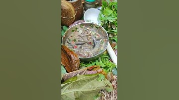 Chuẩn Cá Nhảy Tây Bắc | Món Ăn Giải Nhiệt Nắng Nóng